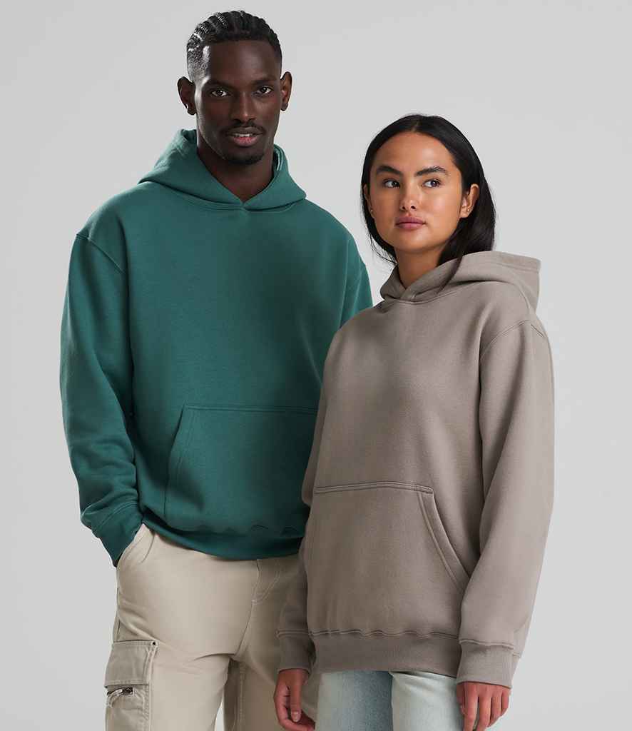 AWDis Vision Heavyweight Hoodie - PenCarrie